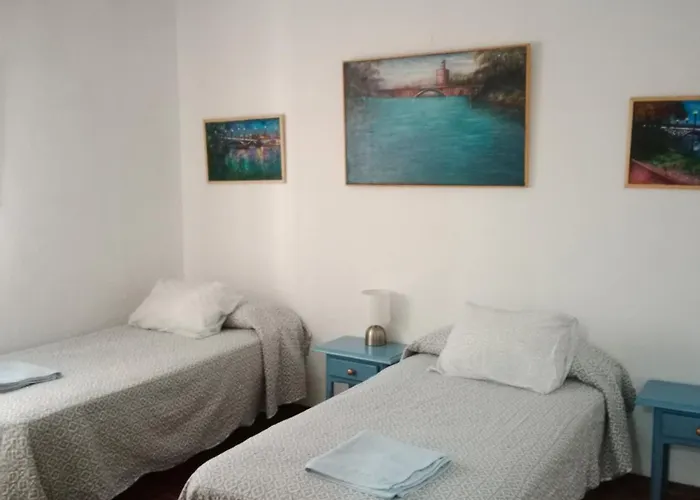 Apartamento Zona Palacio De Las Duenas Y Las Setas